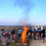 Sarıgöl’de Üzüm Bağlarında Soğukla Mücadele!