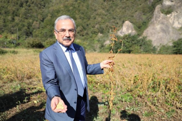 Ordu’da Çiftçilere Tohum ve Fidan Desteği Başladı!