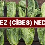 Rüzgara Bırak Filminin Gizemli Lezzeti: Cibez Nedir?