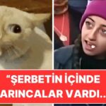 Fast Food Tehlikesi: Gerçekten Cesur Musunuz?