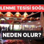 Dinlenme Tesislerinde Neden Daha Serin Hissedilir?