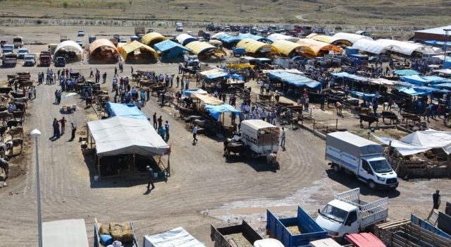 Çankırı’da Şap Hastalığı Tedbirleri: Hayvan Pazarları Kapatıldı