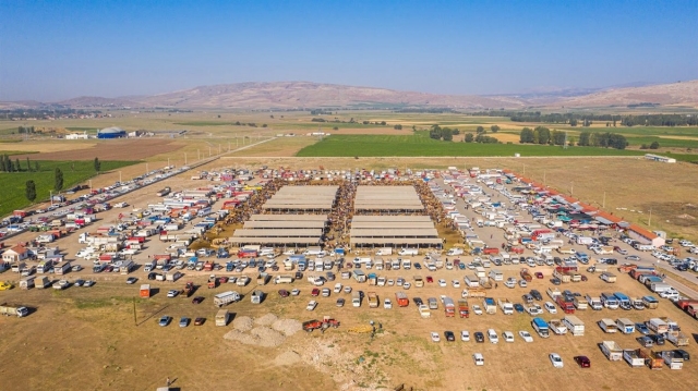 Şarkışla Hayvan Pazarı Şap Hastalığı Nedeniyle Kapatıldı