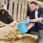 Tarımda Yeni Destek Dönemi: Yatırımlara %50 Hibe Desteği!