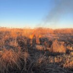 Eber Gölü’nde Kaçak Kamış Kesimi Yapanlara Ceza!