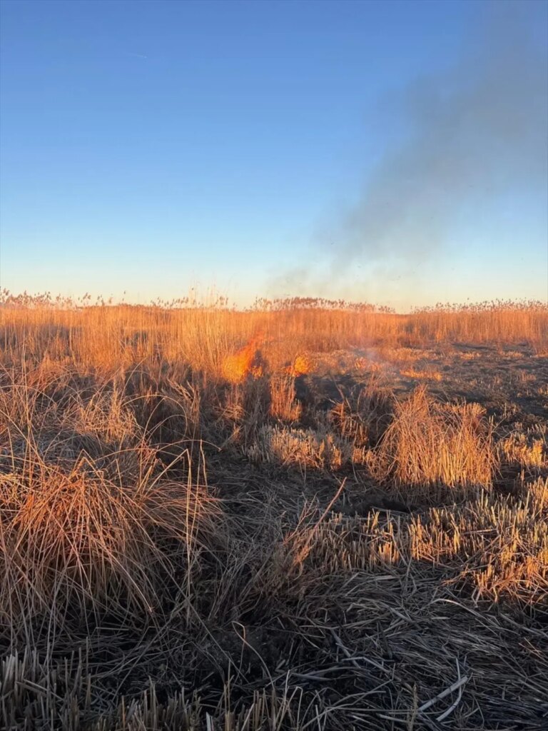 Eber Gölü’nde Kaçak Kamış Kesimi Yapanlara Ceza!