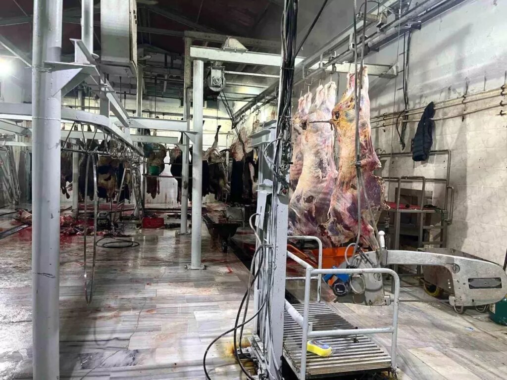 Tekirdağ’da kaçak kesime 105 bin TL ceza
