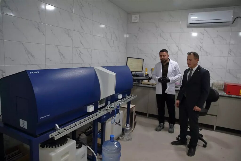 Çorum’da Süt Üretimi Yükseliyor