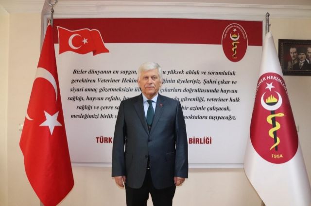 Türkiye’de Hayvan Katliamı Alarmı! #YeterArtık