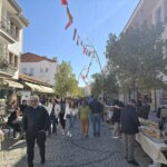 Badem Çiçeği Festivali Başladı!