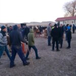 Ulaş İlçesinde Canlı Hayvan Pazarı Yeniden Açıldı