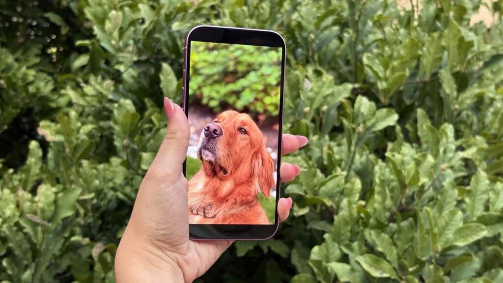 Tüm iPhone 17 Modelleri Samsung M14 OLED Panelleri Alacak