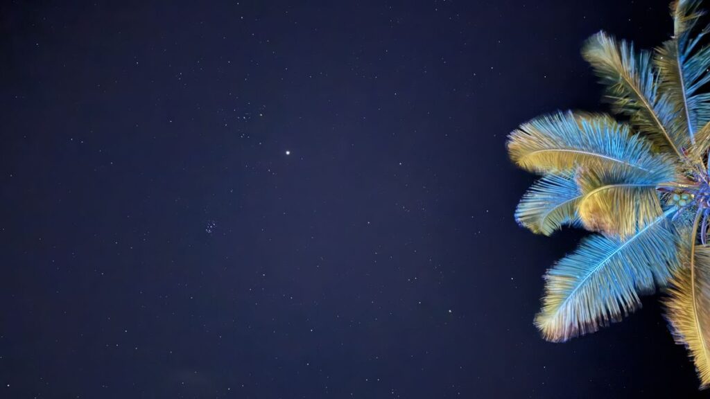 Samsung vs. Apple: Gece Fotoğrafçılığı Karşılaştırması