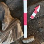 Perge’de Ortaya Çıkan Antik Heykeller Şaşırtıyor!