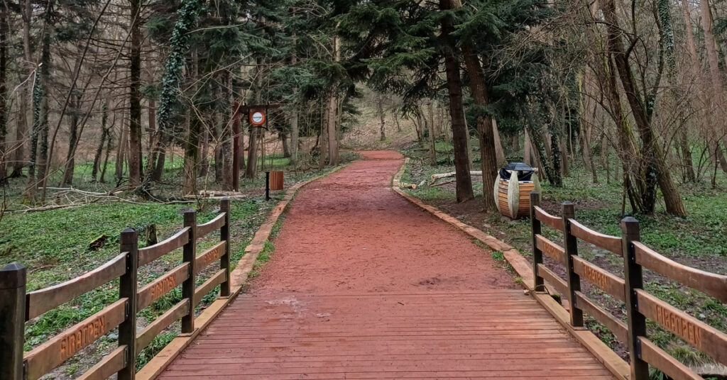 “Belgrad Ormanı’nda Kaybolan Ece Gürel’in Ölümü Üzdü”