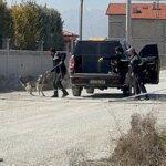 Konya’da köpek saldırısıyla ölen Rana’nın ölüm nedeni belli oldu