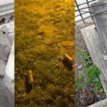 İstanbul İl Başkanı Taraftarlarına Seslendi!