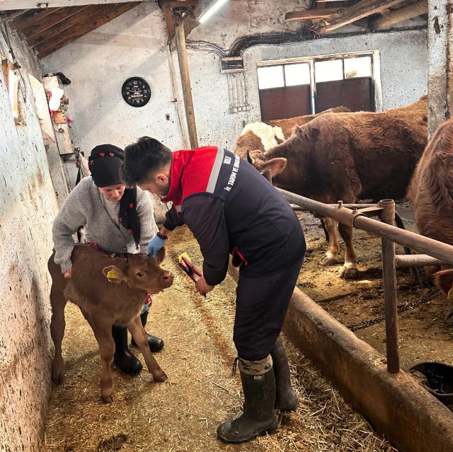 Mengen’de Genç Çiftçi Projesi’nden Elde Edilen Başarılar!