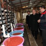 Denizli Valisi Alabalık Tesislerini İnceledi