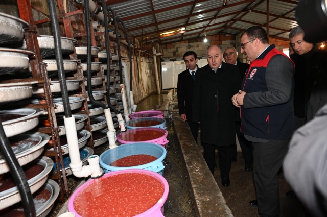 Denizli Valisi Alabalık Tesislerini İnceledi