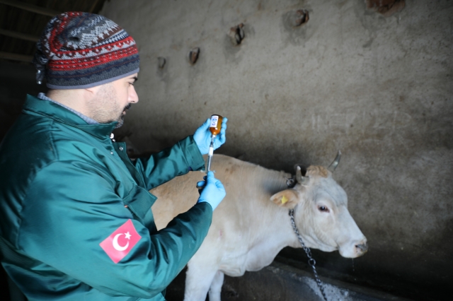 Elazığ’da Şap Hastalığına Karşı Etkin Mücadele!
