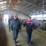 Erzincan’da Büyükbaş Hayvancılık İşletmeleri Ara Hastalıktan Ari İşletme Belgesi İçin Çalışıyor