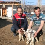 Erzincan’da Kar Yağışı Zararları!