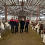 Muş’ta Hayvan Sağlığı İçin Aşılama Çalışmaları Başladı