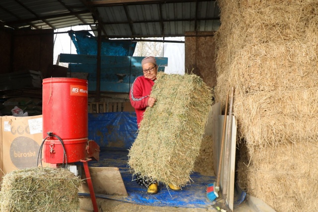 Ordu’da Hayvancılığa Destek Veren Belediye!
