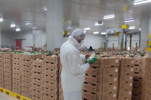 Bolu’dan AB’ye Kanatlı Eti İhracatı Başladı!