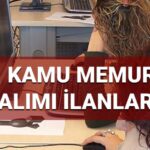 Vergi Denetim Kurulu Başkanlığı Müfettiş Yardımcısı Alımı 2025