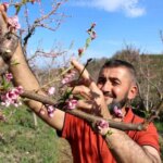 Ağaçları Dondurarak Dondan Koruma Sistemi Başarılı!