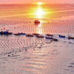 Çin, Gıda Güvenliğini Okyanusta Güçlendiriyor