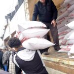 Çiftçilere Yüzde 50 Hibeli Nohut Tohumu Dağıtılacak!