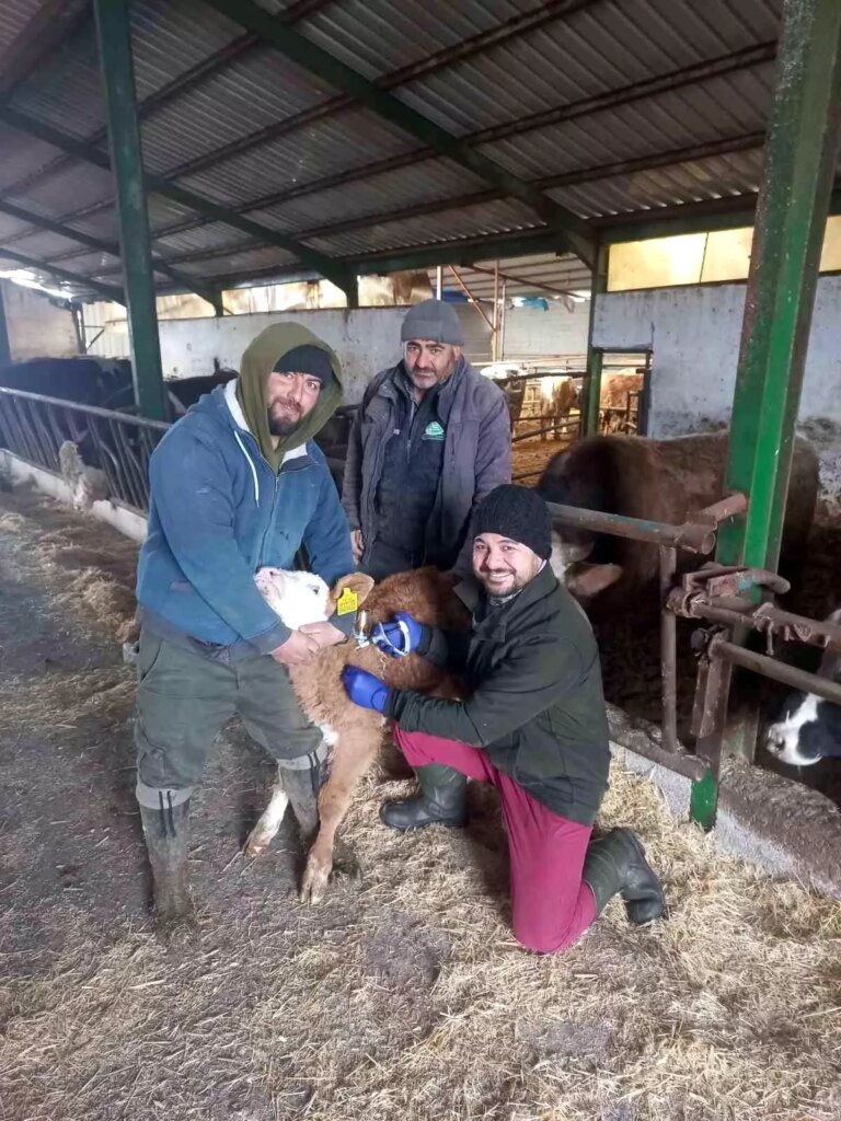 Beyşehir’de Şap Aşısı Kampanyası Devam Ediyor