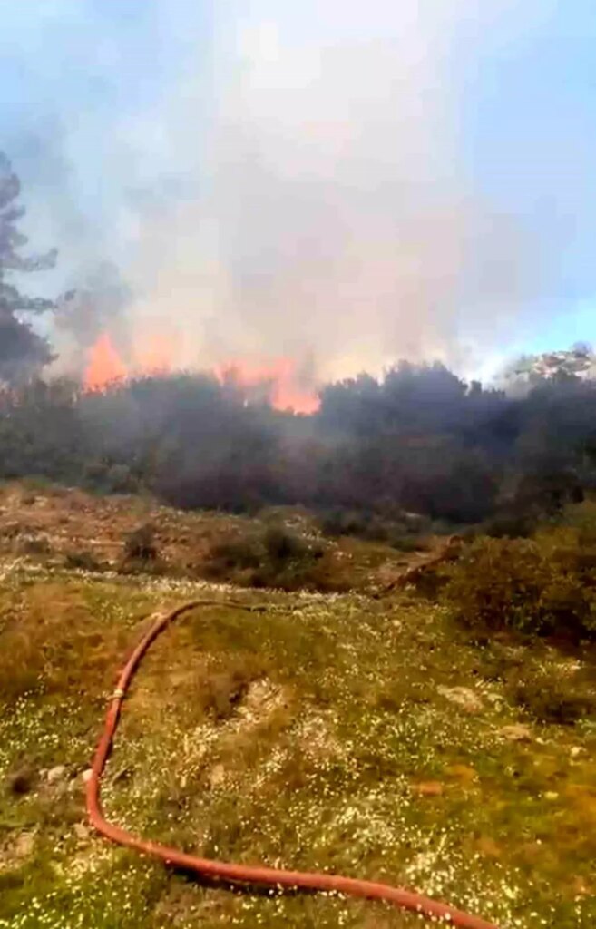 Muğla’da Çalılık Yangını!