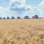 Çiftçilere 2.6 Milyar TL Destek Ödemesi yapılacak