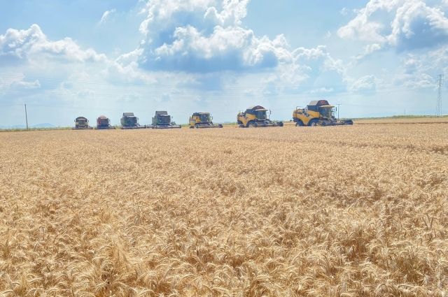 Çiftçilere 2.6 Milyar TL Destek Ödemesi yapılacak