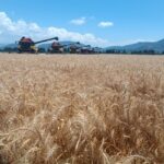 Çiftçilere 3,3 Milyar TL Destekleme Ödemesi Bugün Hesaplarda