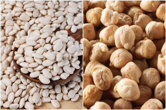Niğde Çiftçilere %75 Hibe ile Nohut ve Fasulye Tohumu Dağıtımı Başlıyor