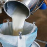 Çiğ Süt Fiyatlarına Düzenleme: 17,15 TL’de Devam!