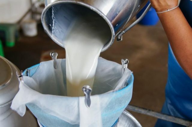 Çiğ Süt Fiyatlarına Düzenleme: 17,15 TL’de Devam!