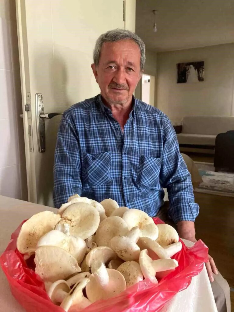 Karasu’da Traktör Kazası: 65 Yaşındaki Adam Hayatını Kaybetti