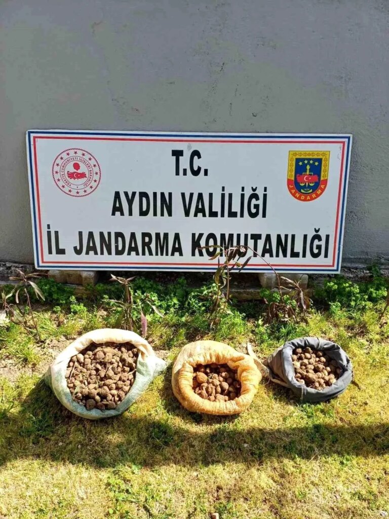 Didim’de 10 Kilo Salep Toplayan Şüpheliler Yakalandı