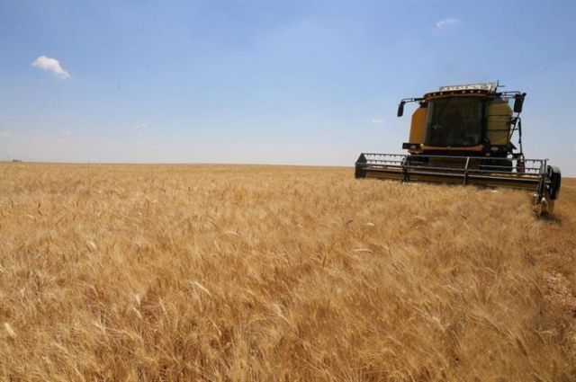 Elazığ’da Çiftçilere 16 Milyon TL Hububat Desteği!