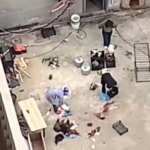 Esenyurt’ta çatıda tavuk kesimi skandalı!