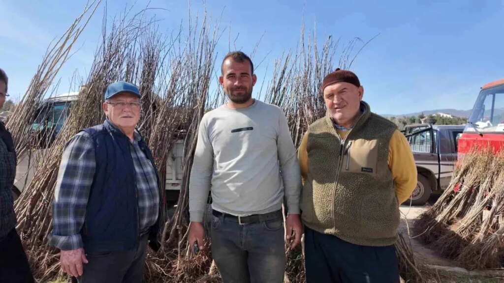 Gedizliler Bahara Hazır: Fidan Dikim Sezonu Başladı!