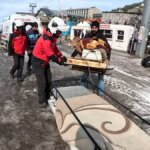 Hasta Buzağıyı Kızakla Taşıyan Çiftçi!