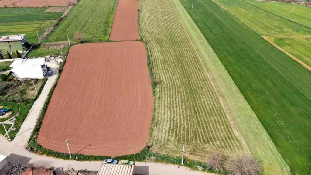 Çiftçi, Yonca Tohumunda Mağdur: “Bana Fatura Vermediler”