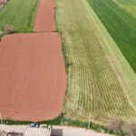 Çiftçi, Yonca Tohumunda Mağdur: “Bana Fatura Vermediler”